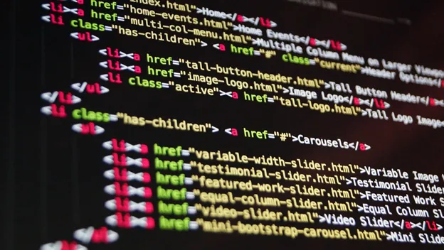 Desarrollo Web a la medida